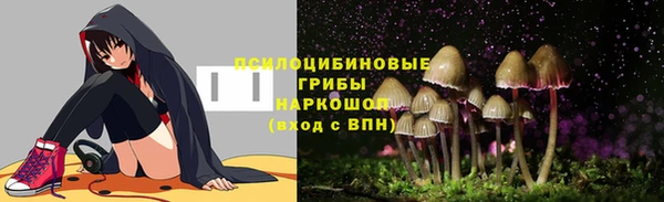 меф Белокуриха
