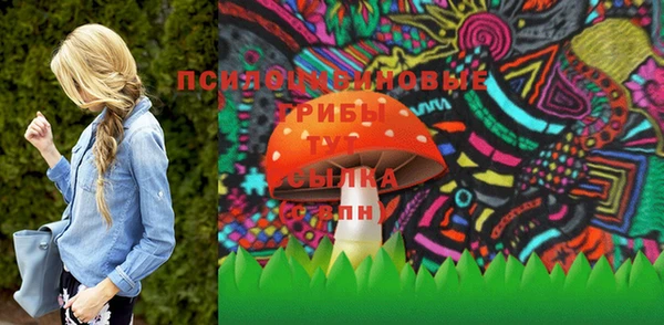 меф Белокуриха