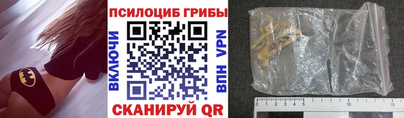 наркотики  Фурманов  kraken tor  Псилоцибиновые грибы Psilocybe 